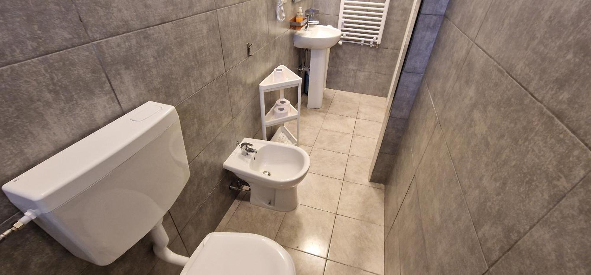 דירות פסקרה Attico Mexico מראה חיצוני תמונה