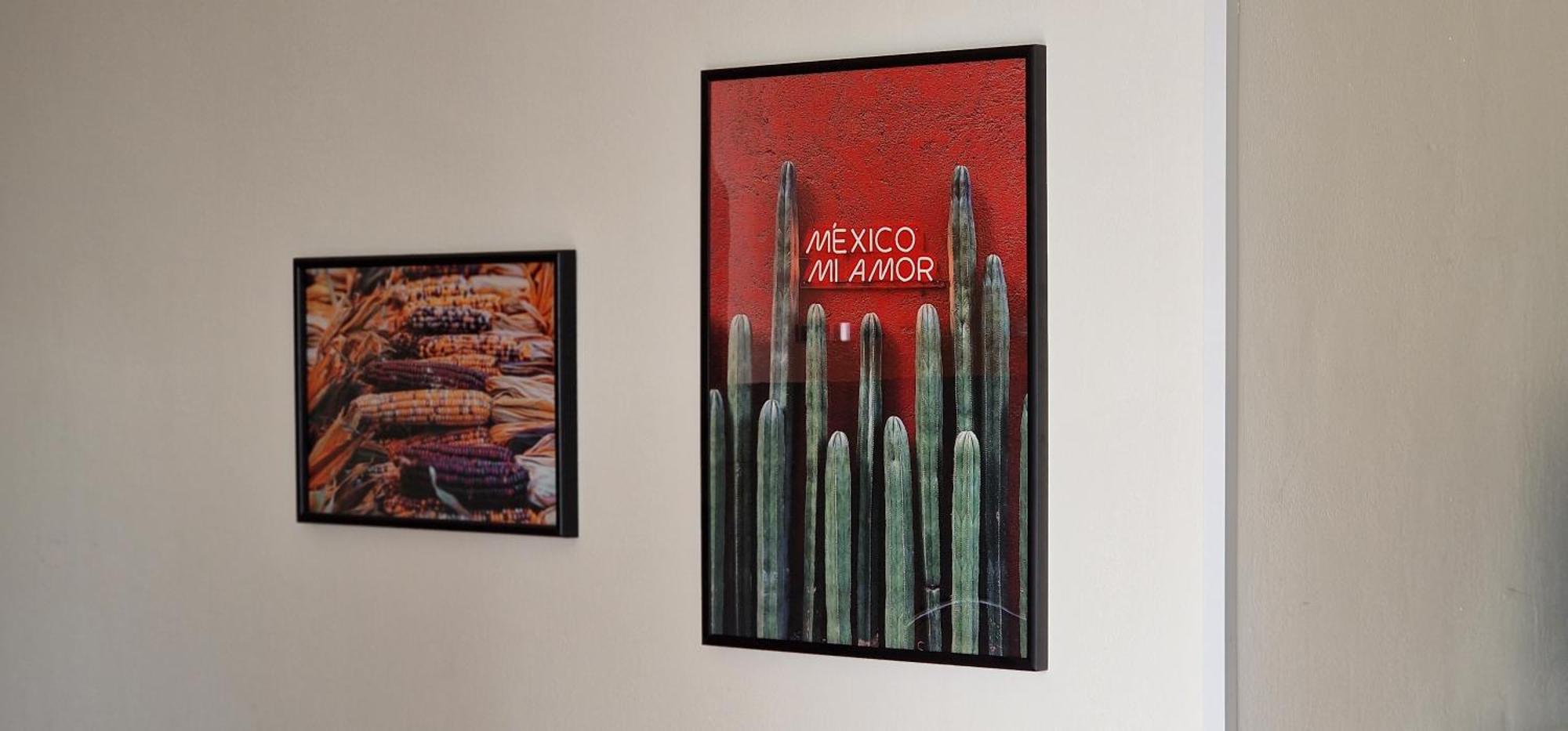 דירות פסקרה Attico Mexico מראה חיצוני תמונה